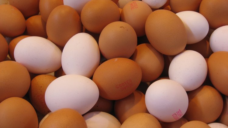 To ensure food security, Sri Lanka imports 2 million eggs from India