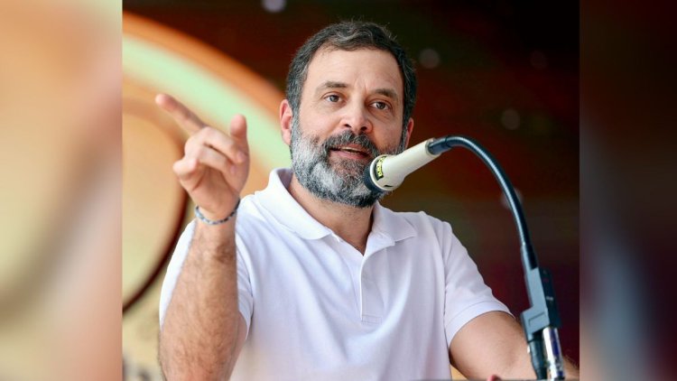 "...will win 150 seats in MP": Rahul Gandhi ahead of assembly elections