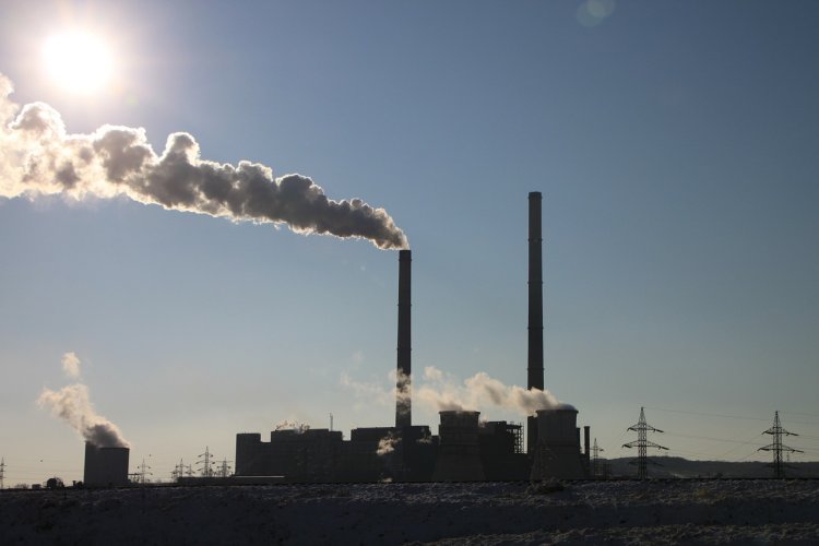 Residual emissions to be tackled to meet net-zero goal in 2050: Study