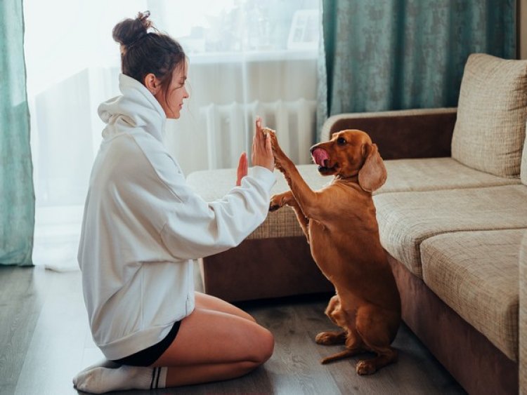 Young dog owners tend to cope better when their pup misbehaves: Study