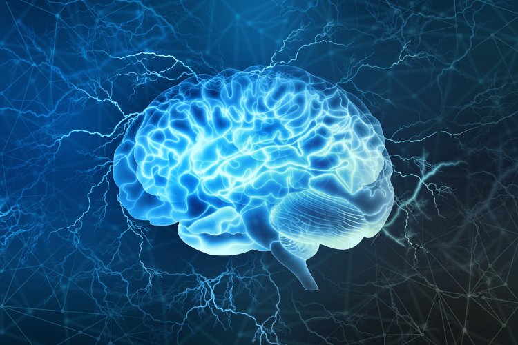 Brain activity decoder may reveal stories in people's minds: Research