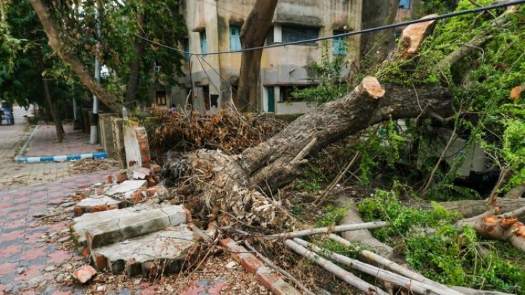 7 killed, 37 injured after tree falls on shed in Akola temple; probe on