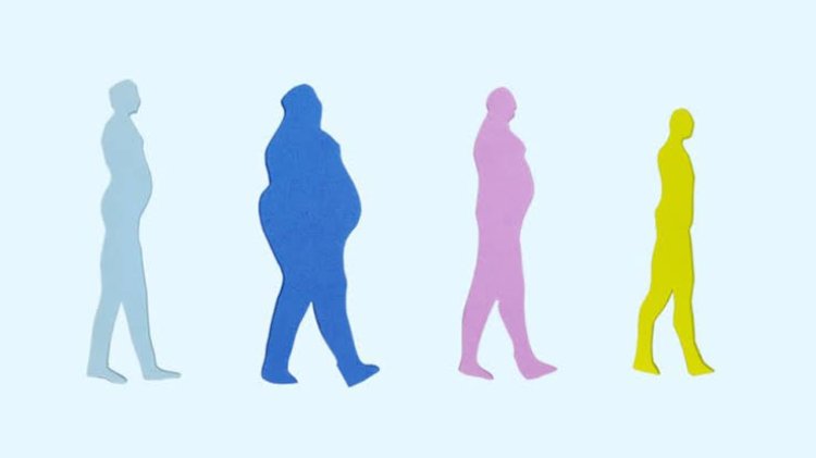 Study: Hormone neurotensin predicts ablility to maintain weight loss