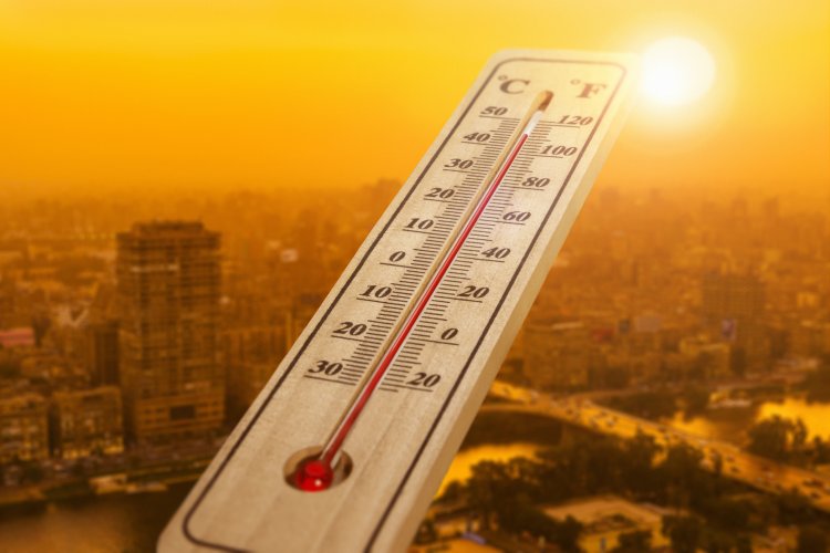 Number of heat wave events on rise in India, cold waves less common: Study