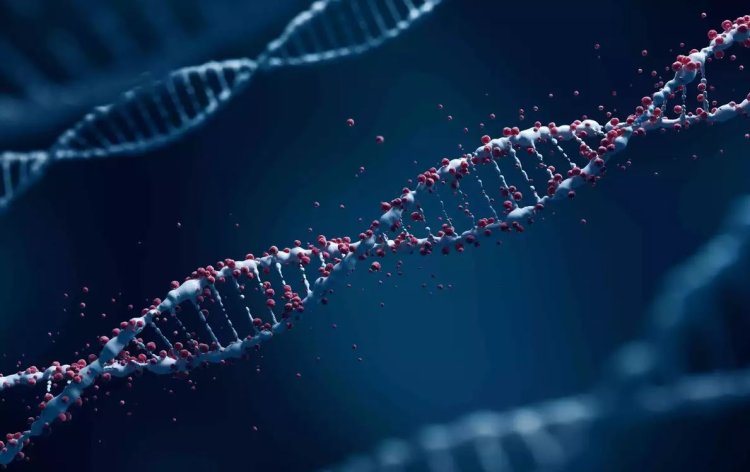 Fungal genetics might help develop new biotechnologies: Study
