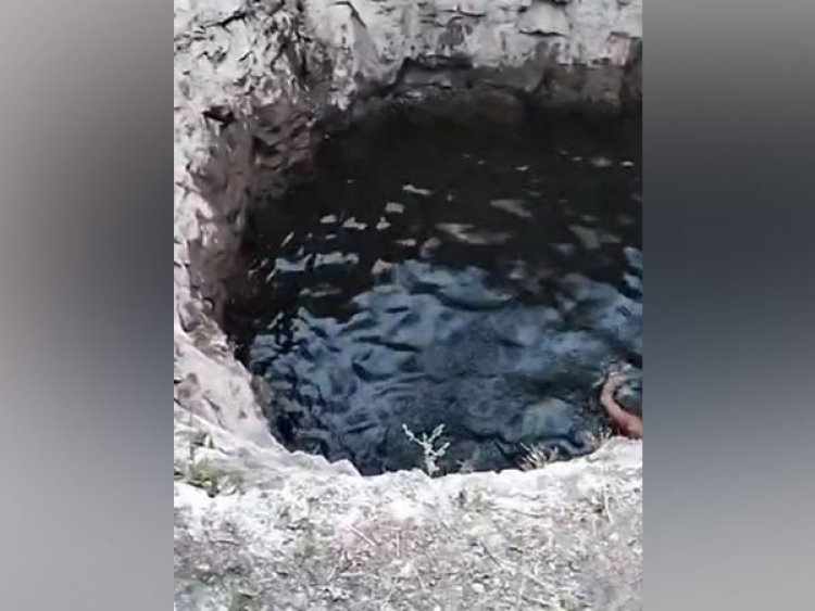 Bodies of 3 sisters found floating in well in MP's Dhar, mother missing