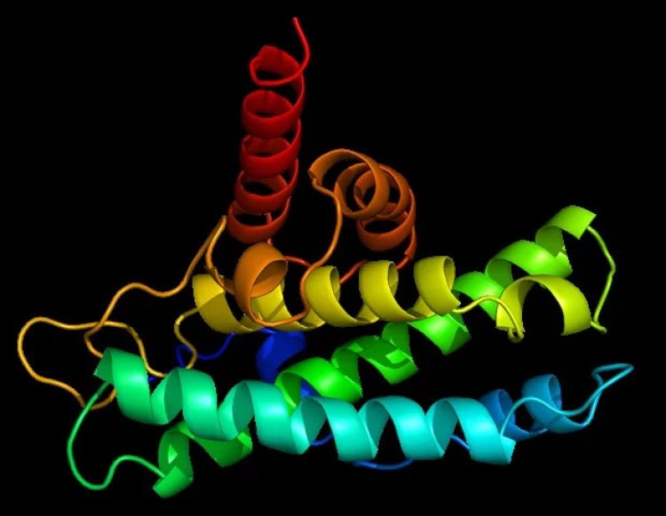 Study discover hidden ribonucleic acids repair mechanism in human