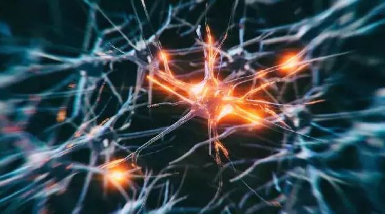 Study: Development of treatments for neurological diseases that target specific neuron types