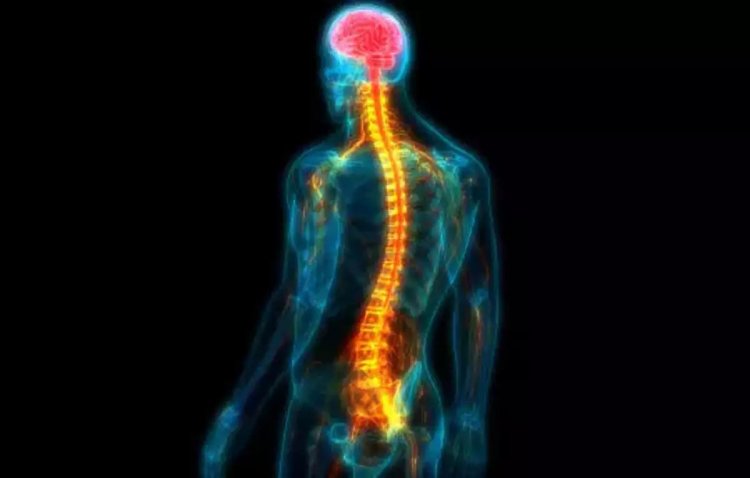 Researchers reveal how use of spinal cord stimulation for chemotherapy-related pain, cancer treatment