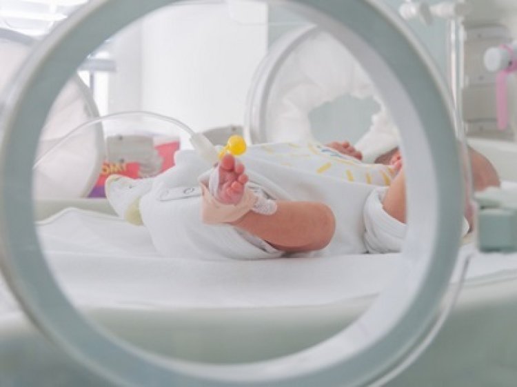 Study finds how bloodstream infections in preemies originate from their gut microbiomes
