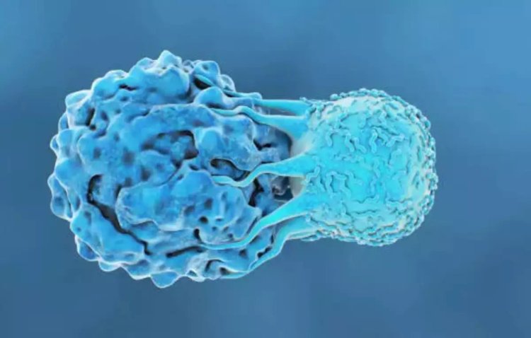 T cells can activate themselves to fight tumours: Research