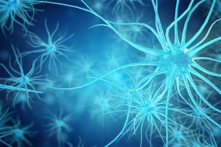 Study finds how some motor neuron disease, dementia patients share rare genetic defects