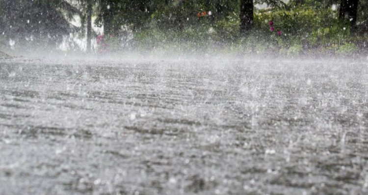 Monsoon in advance stage, heavy rainfall over MP in next 2 days, says IMD