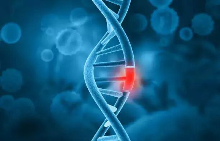 Study predicts the effects of genetic mutations on RNA formation