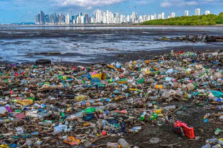 Plastic pollution a global environmental crisis, says NGT Chairperson