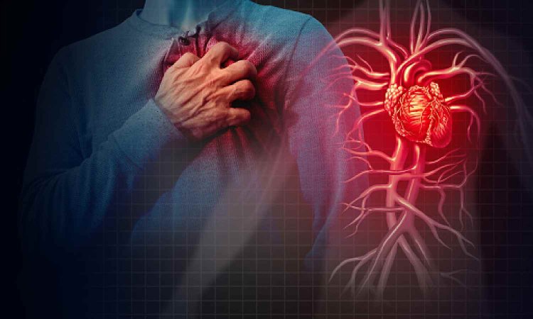 Study finds how virtual blood vessel technology improves heart disease care