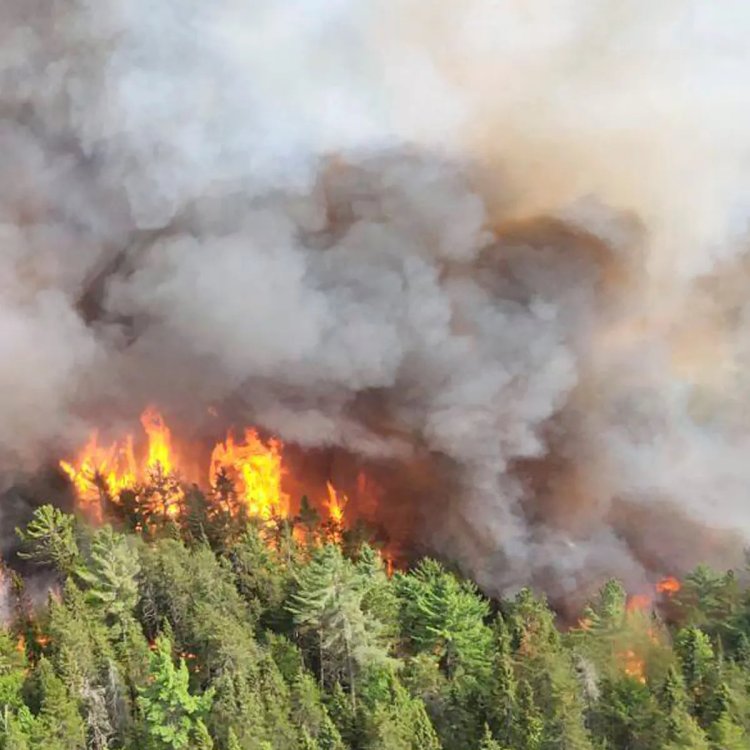 'Hazardous' smoke from Canadian wildfires reaches Norway: Scientists