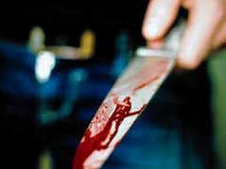 Woman stabs live-in partner in Delhi's Kishangarh