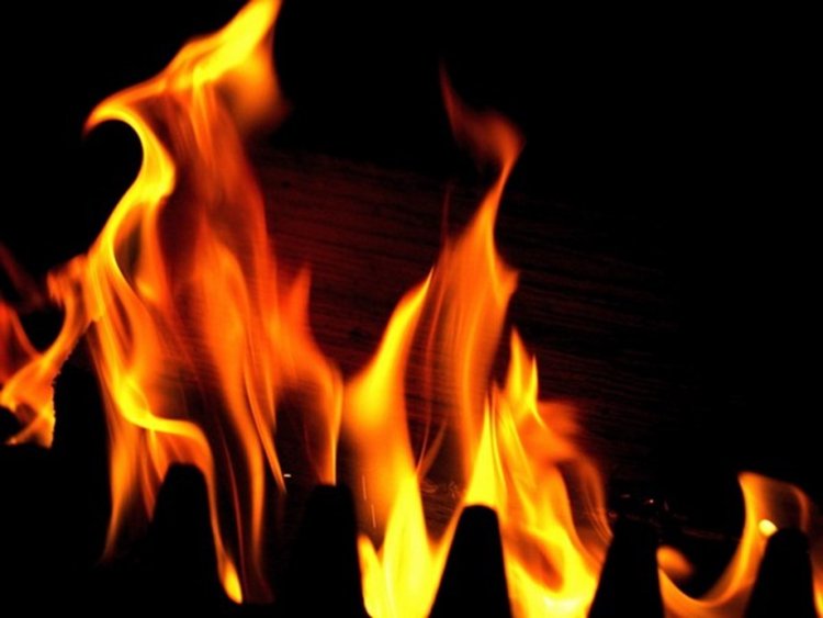 Fire breaks out at power plant in Andhra's Nelatur