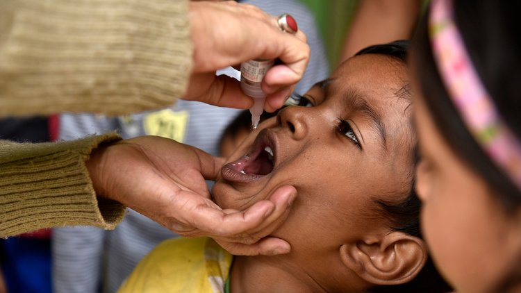 Scientists develop 2 new polio vaccines to help eradicate viral disease