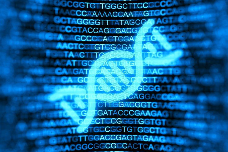 New approach has improved diagnosis of rare genetic muscle disease: Study