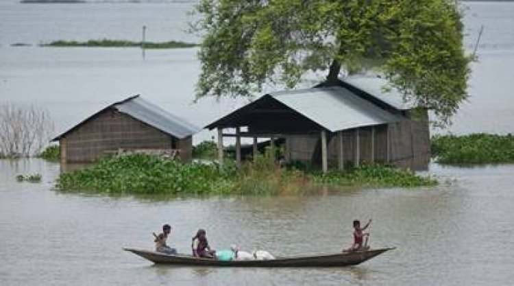 Flood situation grim in Assam; nearly 120,000 people hit in 10 districts