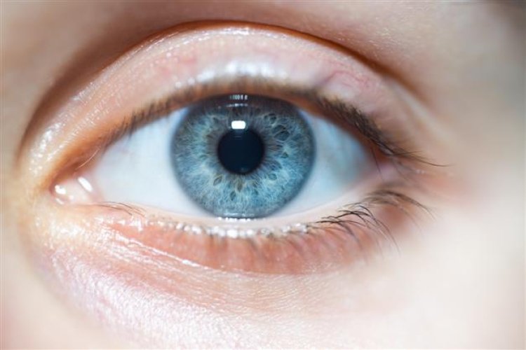 An oral probiotic might treat dry eye disease: Research