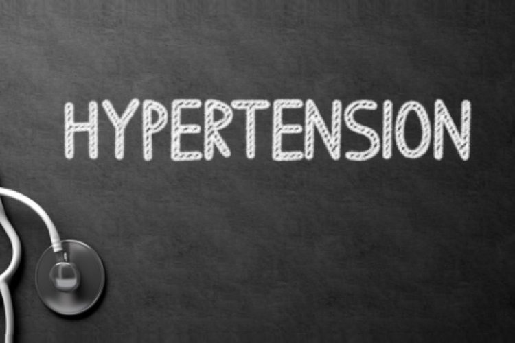Researchers find how engineered gut bacteria can help treat hypertension