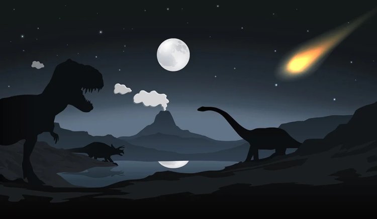 Study reveals humans' ancestors survived asteroid impact that killed dinosaurs