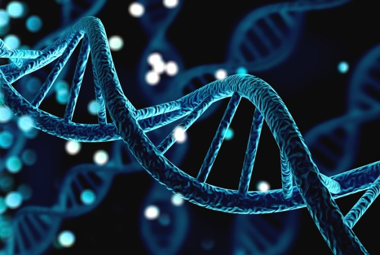 Study finds how genetics interacts with social forces, environments