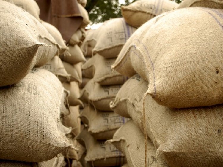India donates 10,000 metric tonnes of wheat to Afghanistan amid crisis