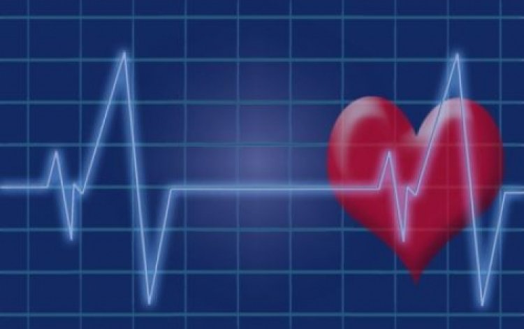 Scientists uncover promising treatment target for heart arrhythmias