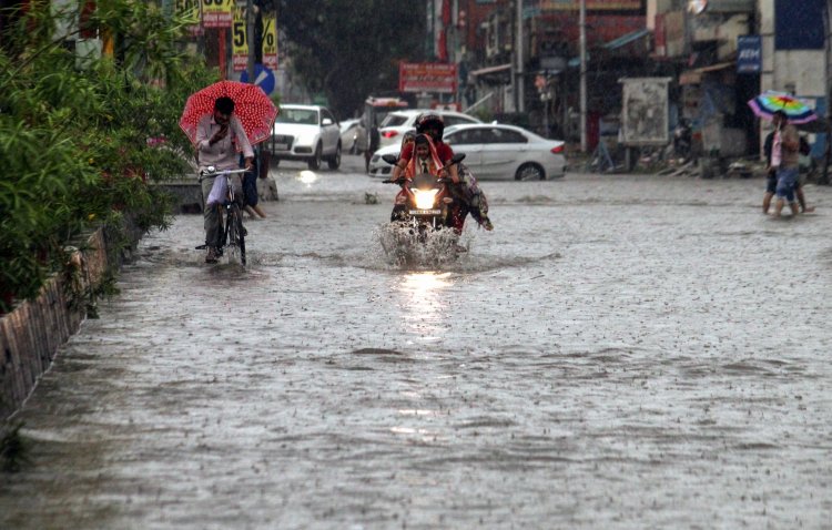 Met dept issues flood alert amid rainfall in Haridwar, Mussorie districts