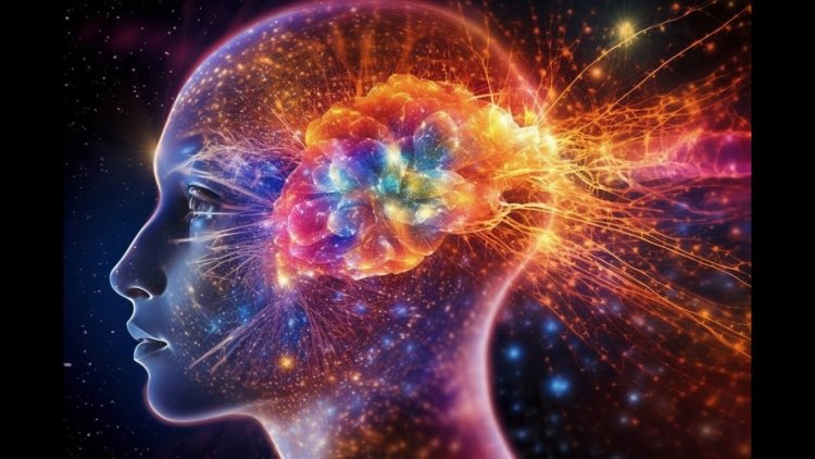 Study gives more insight into conscious experience that resides in brain