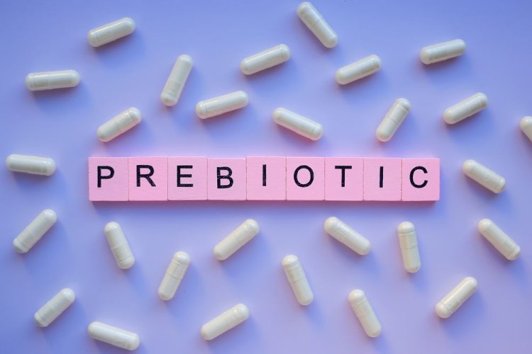 Can probiotics help slow age-related cognitive decline?