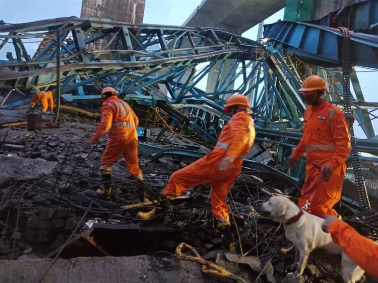 17 dead as crane falls on bridge at Samruddhi Expressway construction site
