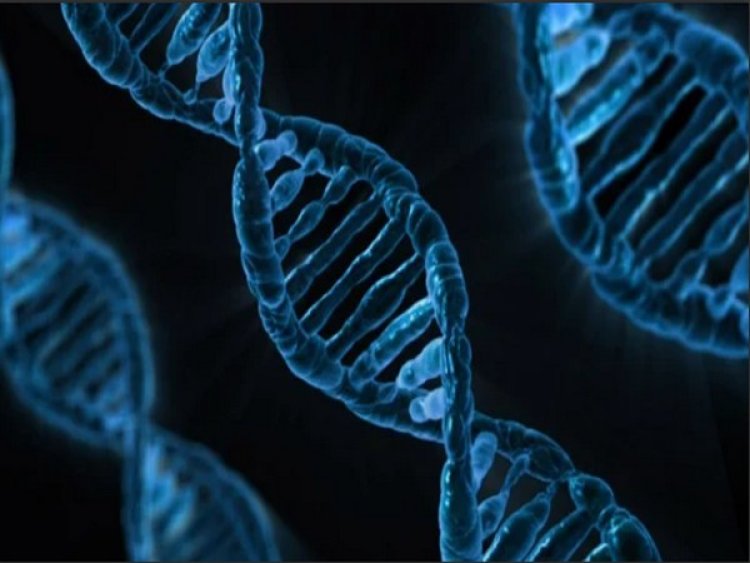 Researchers discover possible cause for genetic anomalies