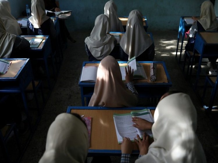Afghanistan: Amid child labour crisis, woman in Bamyan offers free education