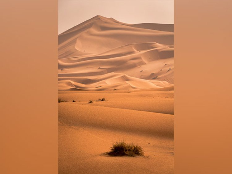 Researchers discover why, when Sahara Desert was green