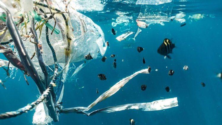 Research reveals genetically modified bacteria break down plastics in saltwater