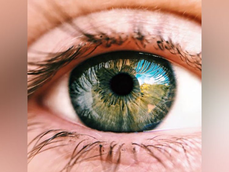 Study reveals diabetes may be treated using eye implants