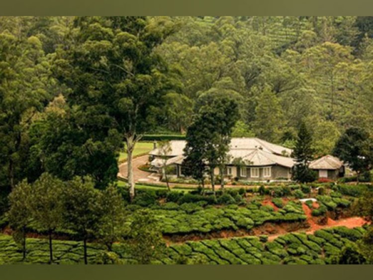 Munnar's oldest plantation estate is now open to guests