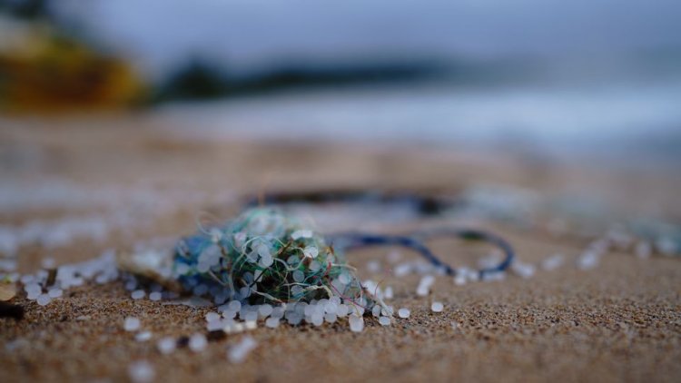 Microplastics' shape impacts how far they travel in atmosphere: Study