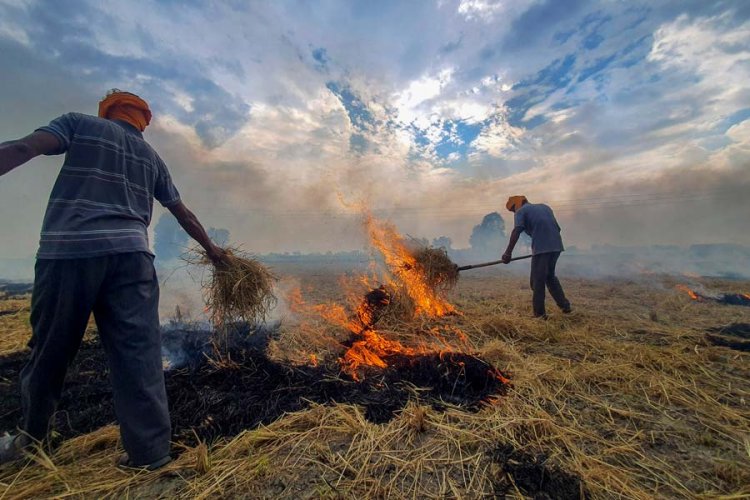 We are being targeted, defamed for Delhi air pollution, say Punjab farmers