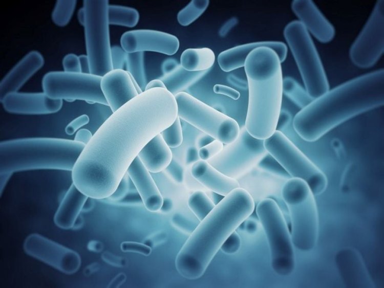 Do you know gut bacteria protects against diarrhoeal disease? Study finds