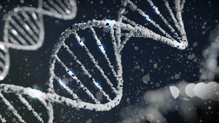 Study finds three genes associated with neurodevelopmental disorders