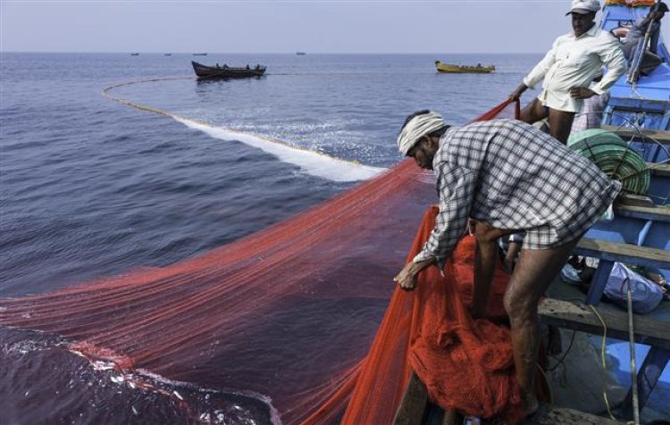 Sri Lanka arrests 14 Indian fishermen for allegedly poaching in its waters