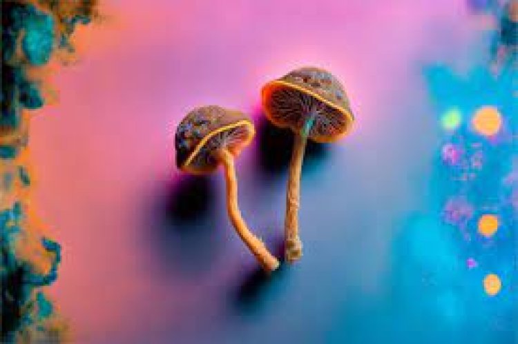 Psilocybin-assisted therapy reduces depressive symptoms in adults with cancer, depression: Study