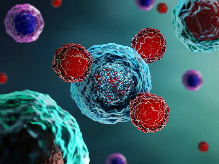 Study sheds more light into benefits of immunotherapy