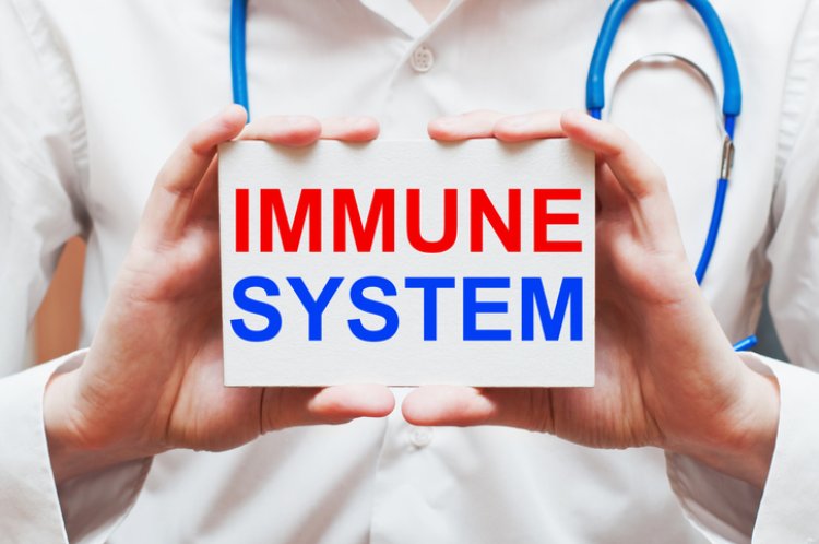 Study finds immune system can influence behaviour